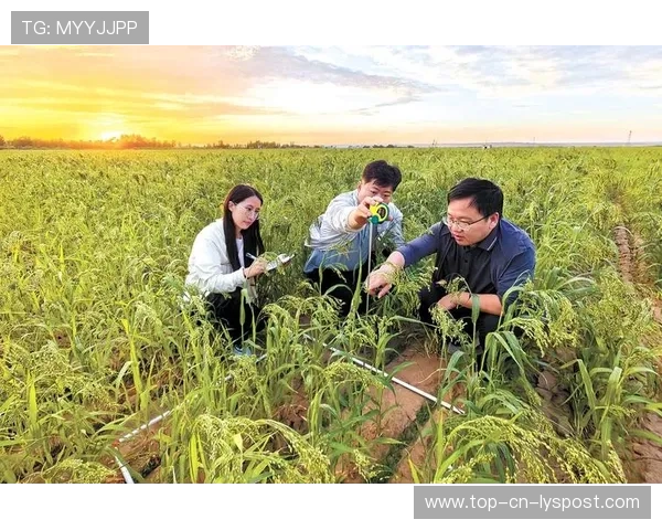 草皮农业技术推广降低维护成本提升赛事质量